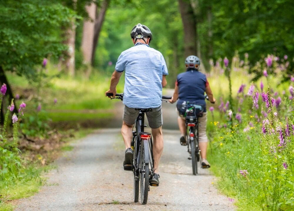 Design sans titre - 7